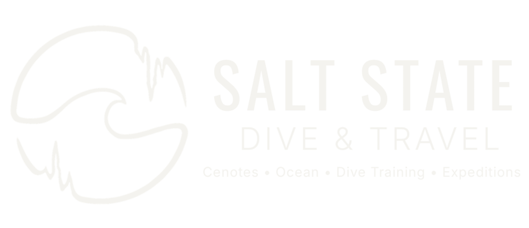 Salt State Dive and Travel Logo